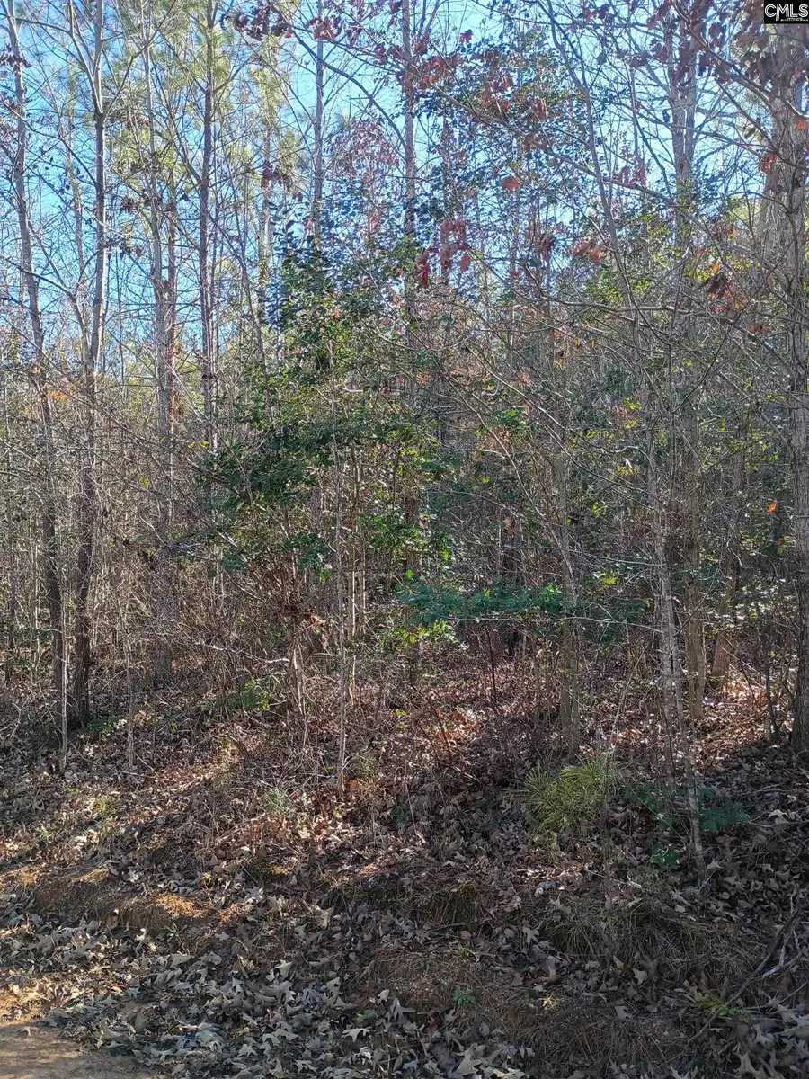 1164 Calvins Rd, Camden, SC 29020 - Image #3