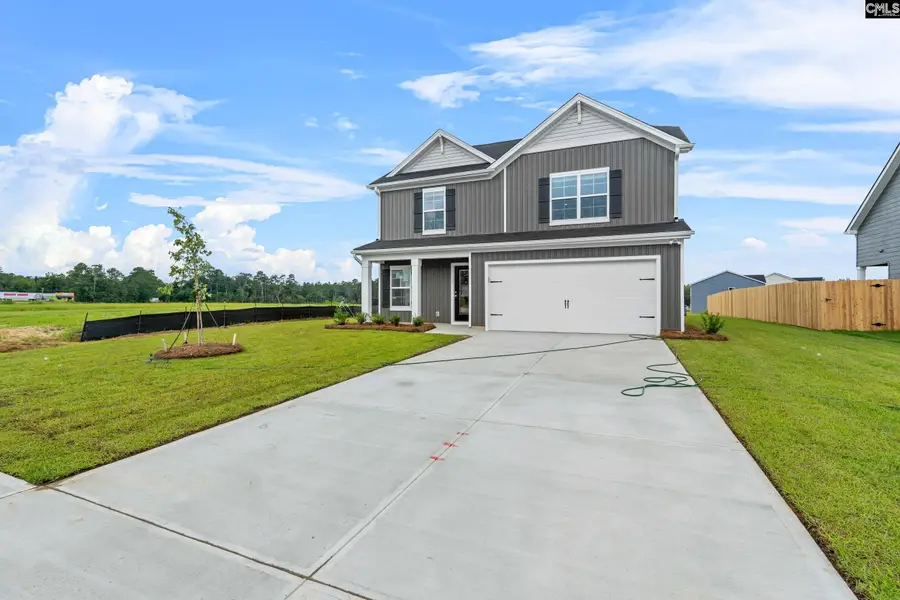 173 Calm Citadel Drive, Pelion, SC 29123 - Image #3