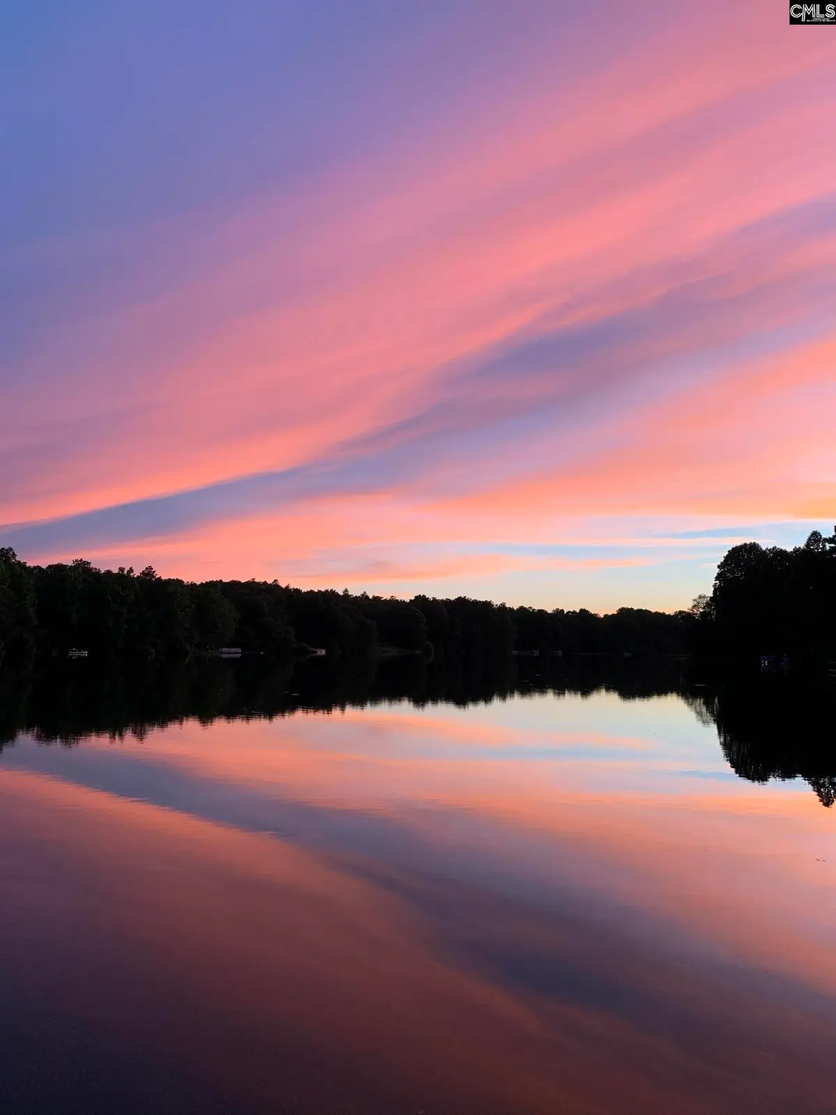 Lot 39 Edisto Lake Road, Wagener, SC 29164 - Image #1