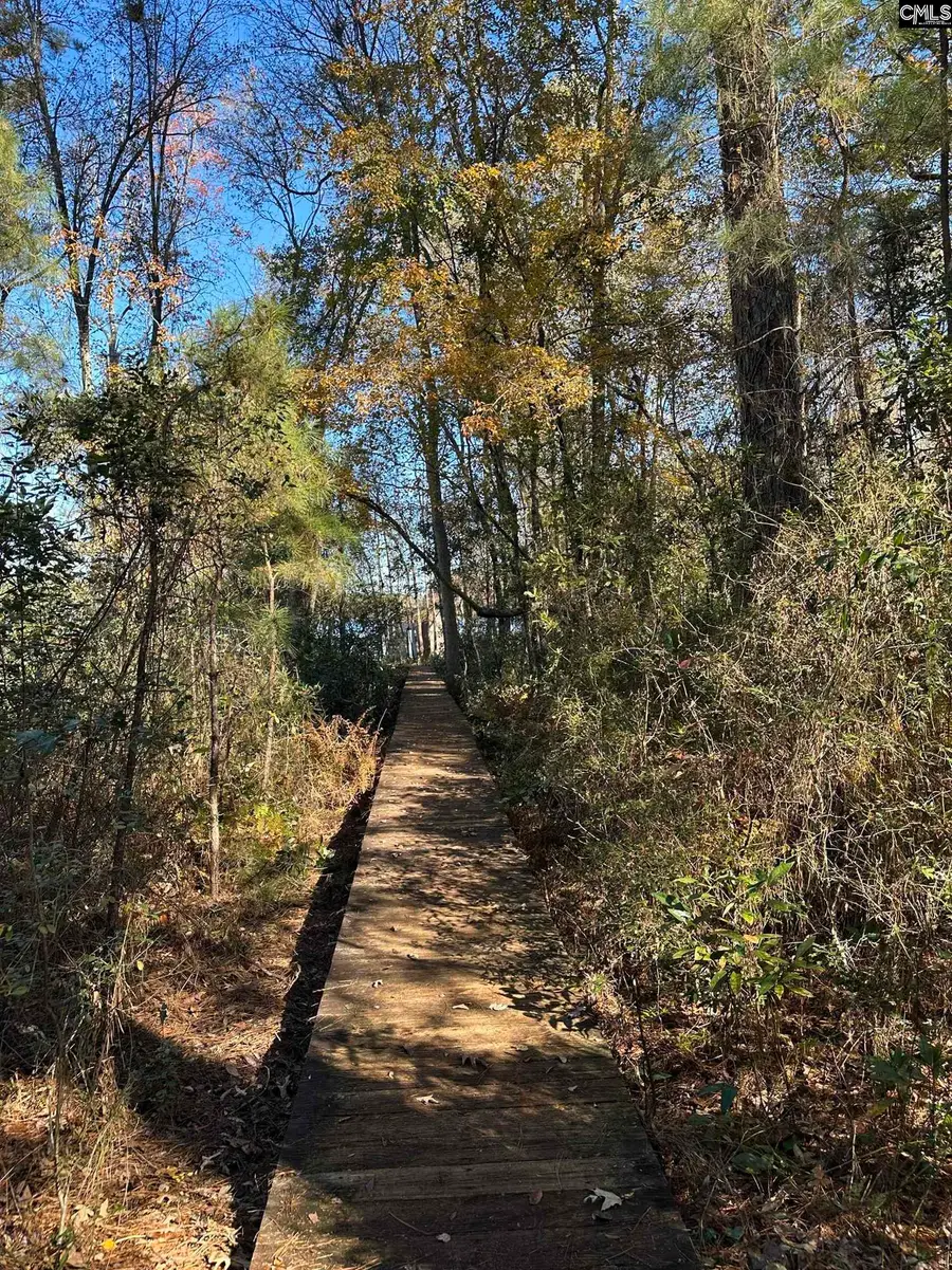 Lot 39 Edisto Lake Road, Wagener, SC 29164 - Image #2