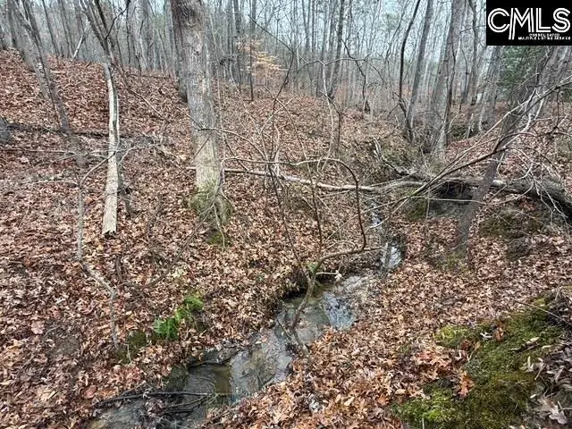 1058 Hinson Branch Road, Lugoff, SC 29078 - Image #2