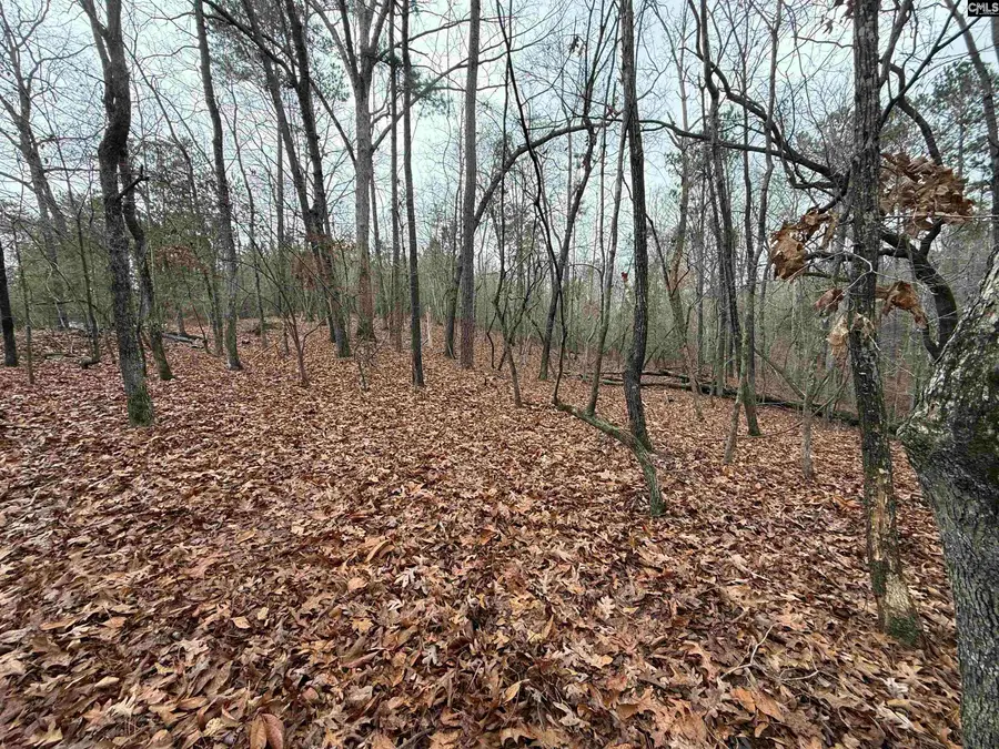 1058 Hinson Branch Road, Lugoff, SC 29078 - Image #3