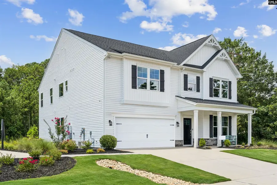 350 Chapin Place Way, Chapin, SC 29036 - Image #2