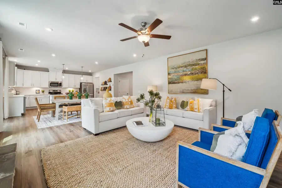 350 Chapin Place Way, Chapin, SC 29036 - Image #3