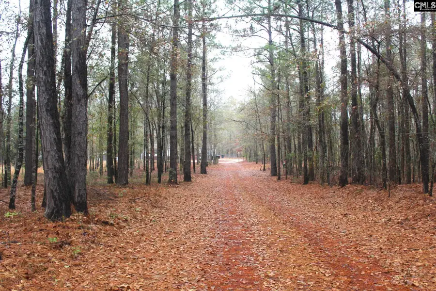 1090 Hidden Oak Drive, Manning, SC 29102 - Image #2