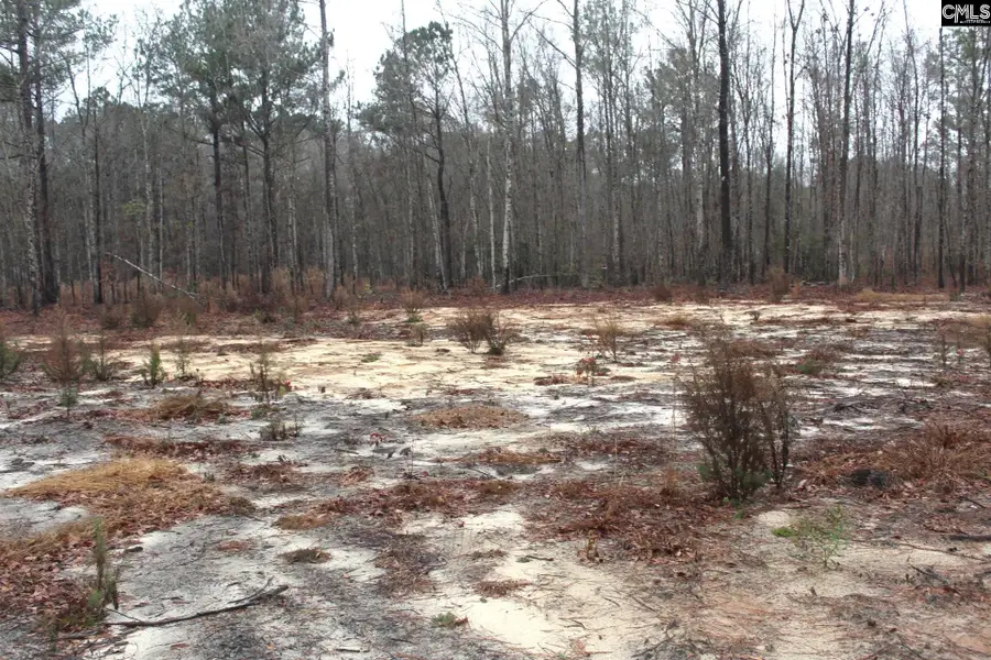 1090 Hidden Oak Drive, Manning, SC 29102 - Image #3