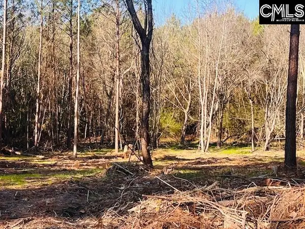 0 J Farm Trail, Leesville, SC 29070