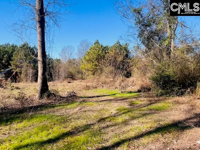 0 J Farm Trail, Leesville, SC 29070 - Image #1