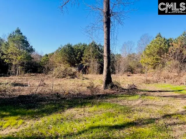 0 J Farm Trail, Leesville, SC 29070 - Image #2