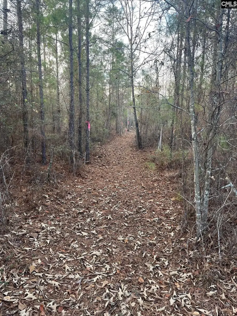 GOO 10 A Wendell Lane #GOO 10 A, Wagener, SC 29164 - Image #2