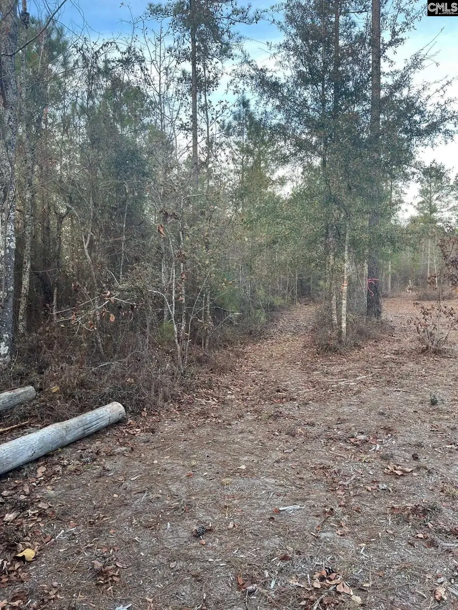 GOO 10 A Wendell Lane #GOO 10 A, Wagener, SC 29164 - Image #3