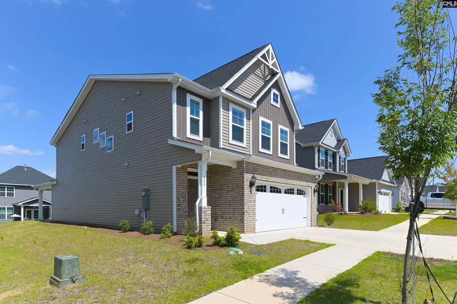 248 Wessinger Farms Road, Chapin, SC 29036 - Image #3