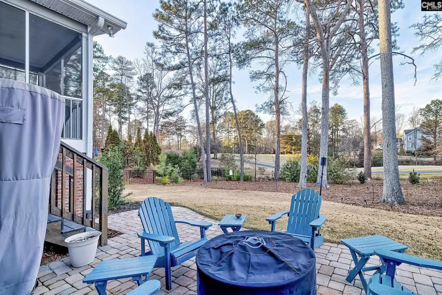 127 Lake Summit Drive, Chapin, SC 29036 - Image #3