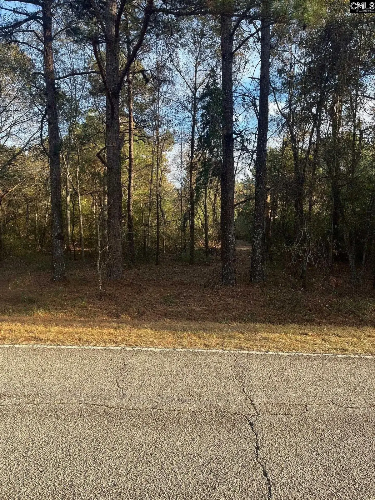 DSH 3 Wagener Road #DSH 3, Wagener, SC 29164 - Image #1
