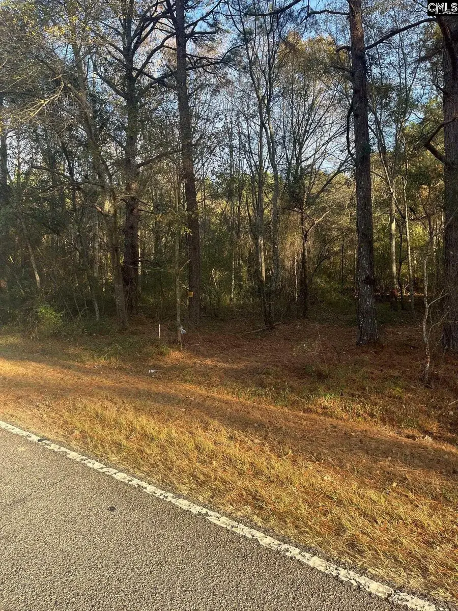 DSH 3 Wagener Road #DSH 3, Wagener, SC 29164 - Image #2