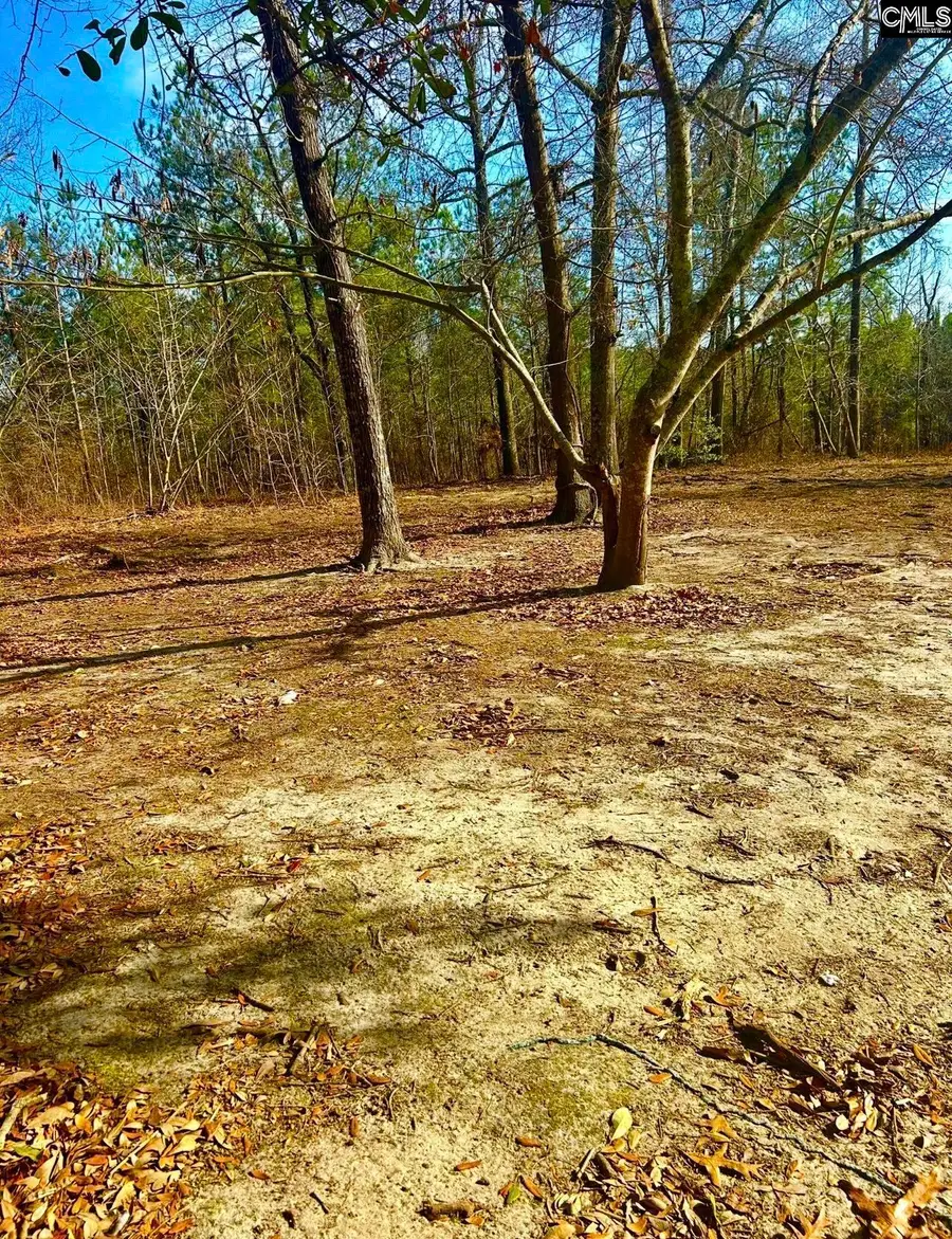 433 Cassidy Road, Gaston, SC 29053 - Image #2