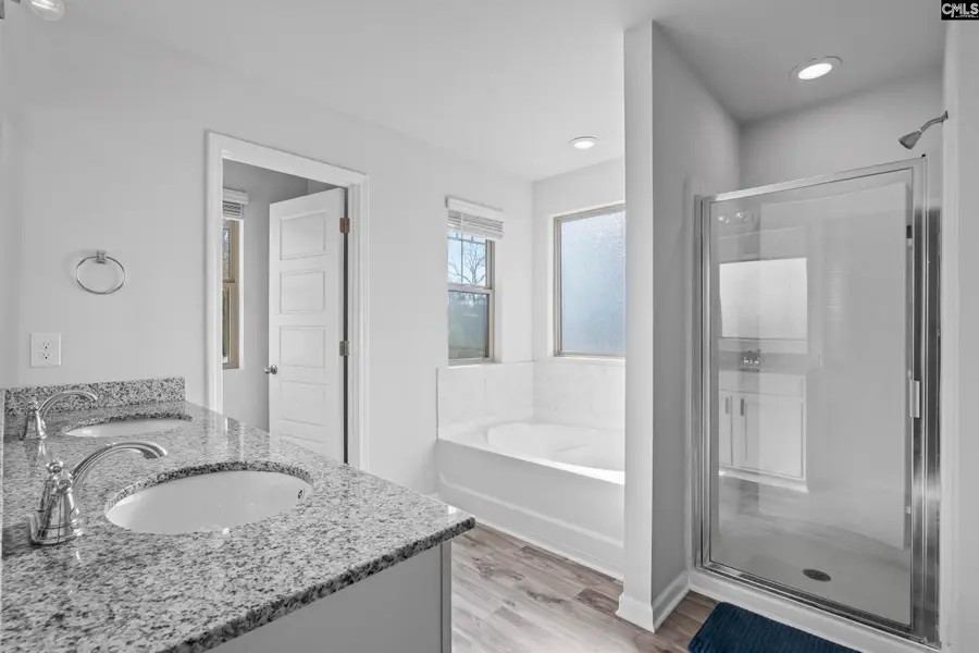 271 Bickley View Court, Chapin, SC 29036 - Image #2