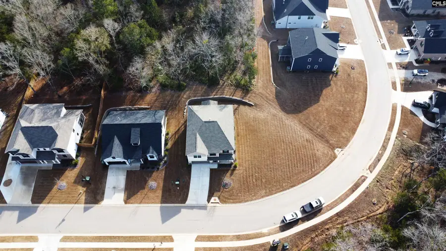 157 Collins Cove Drive, Chapin, SC 29036 - Image #3