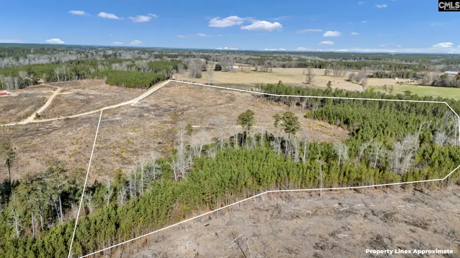 0 Ebb Mack Road, Saluda, SC 29138 - Image #3