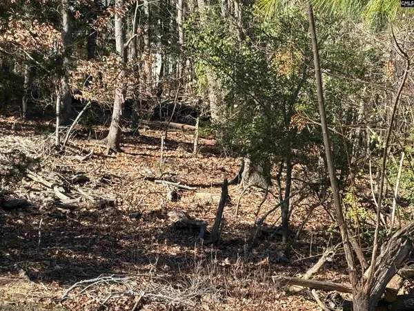 110 Lake Summit Drive, Chapin, SC 29036