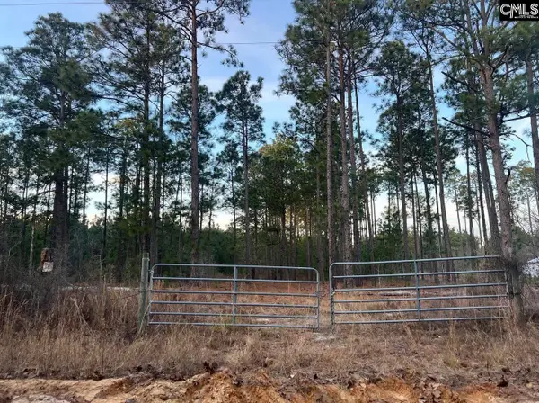 1420 Martin Smith Road, Gilbert, SC 29070