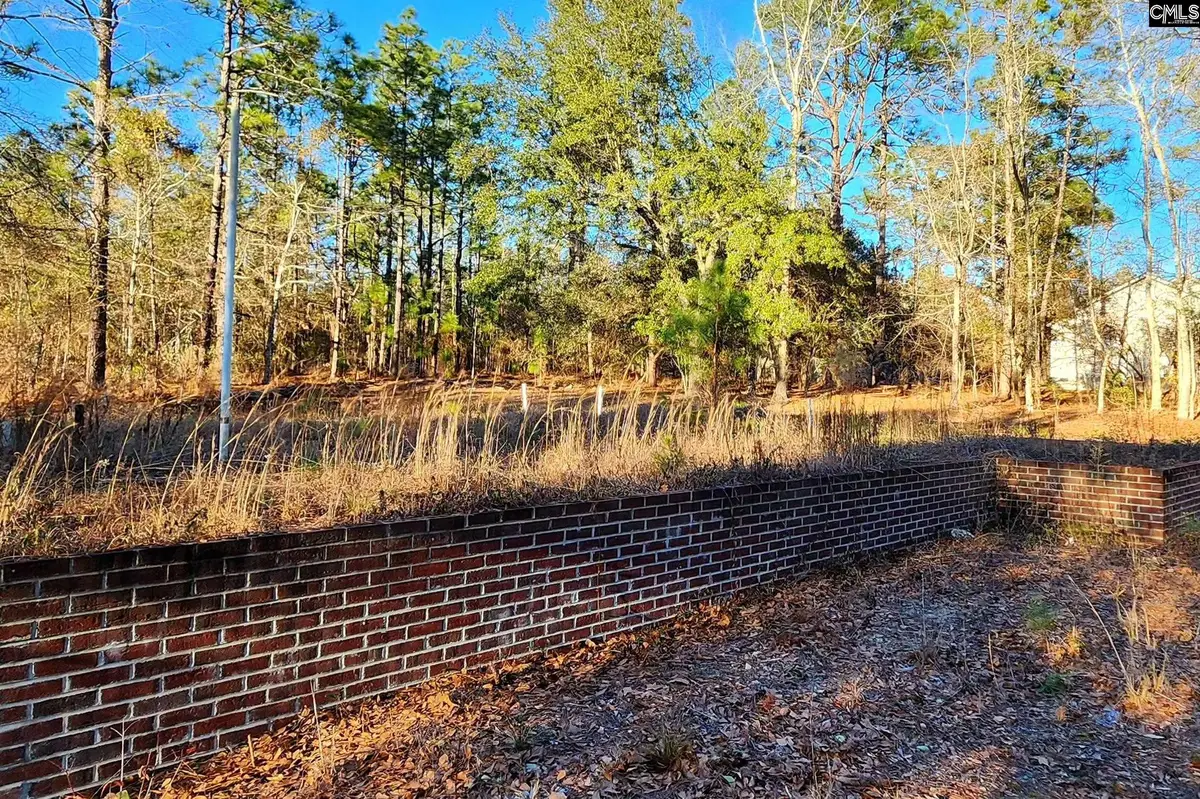 708 Calvary Church Road, Swansea, SC 29160 - #1