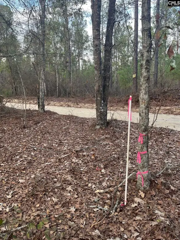 GOO 10A Wendell Lane #GOO 10A, Wagener, SC 29164