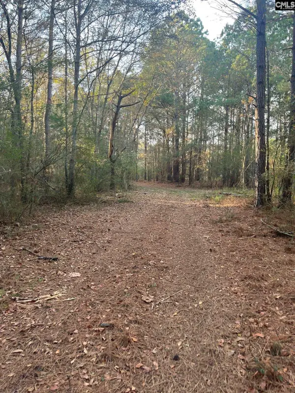 DSH 4 Wagener Road #DSH 4, Wagener, SC 29164