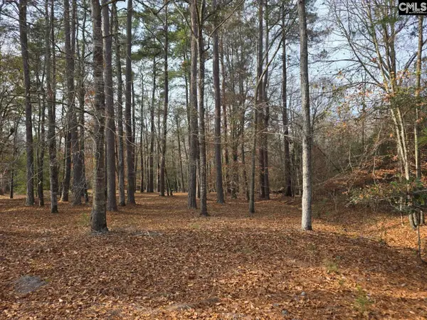 142 Orange Parish Street, Orangeburg, SC 29118