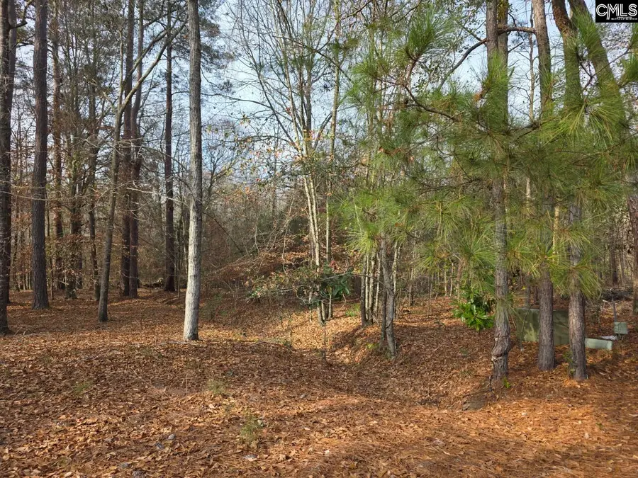 142 Orange Parish Street, Orangeburg, SC 29118 - Image #3