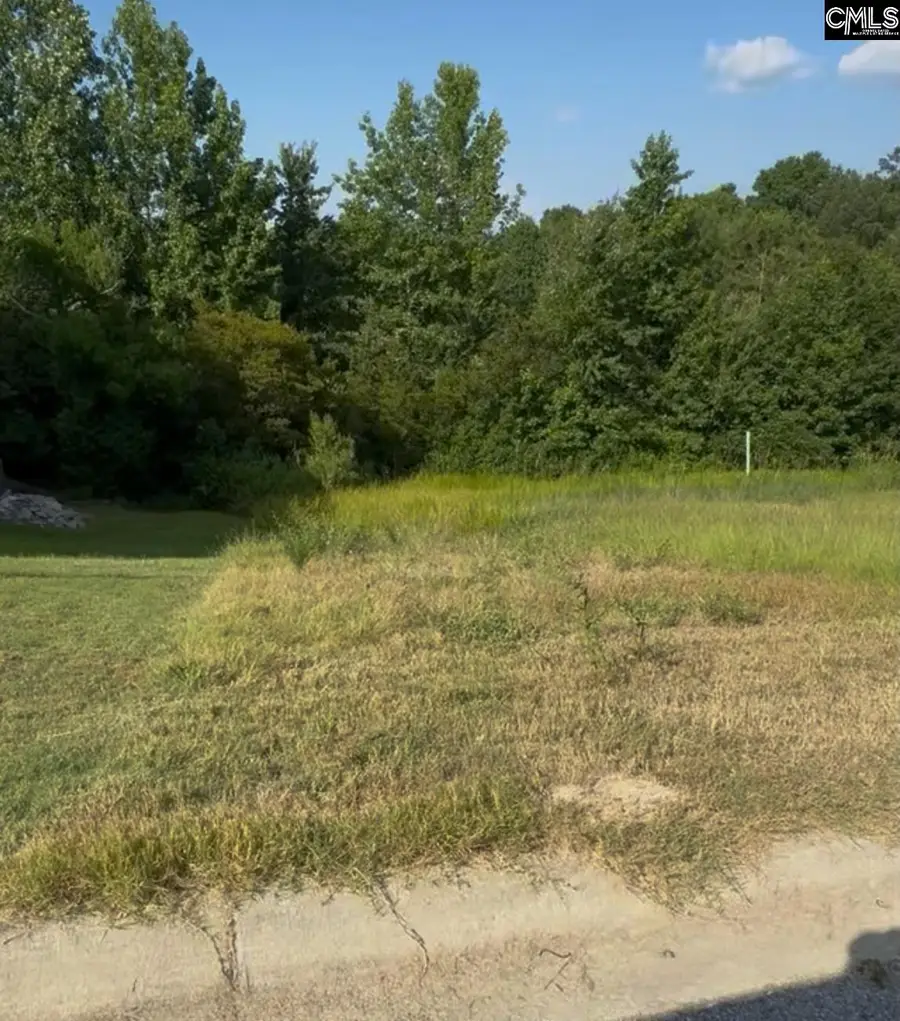 421 Bosque Circle, Blythewood, SC 29016 - #2