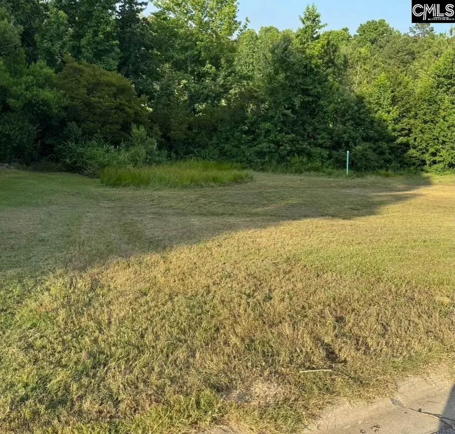 421 Bosque Circle, Blythewood, SC 29016 - #3