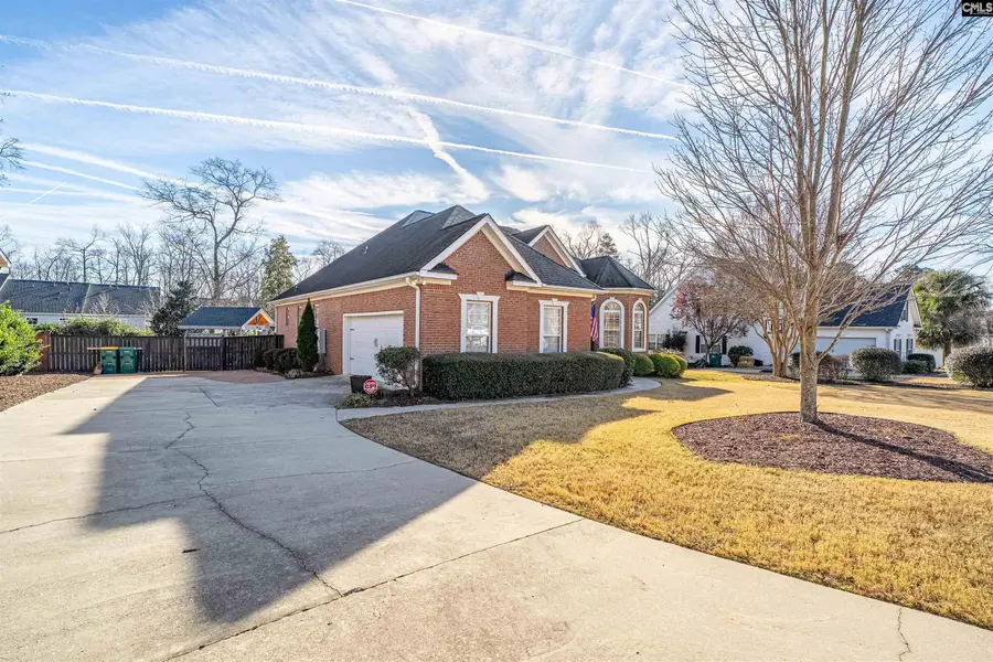 253 Vista Springs Circle, Lexington, SC 29072 - Image #3