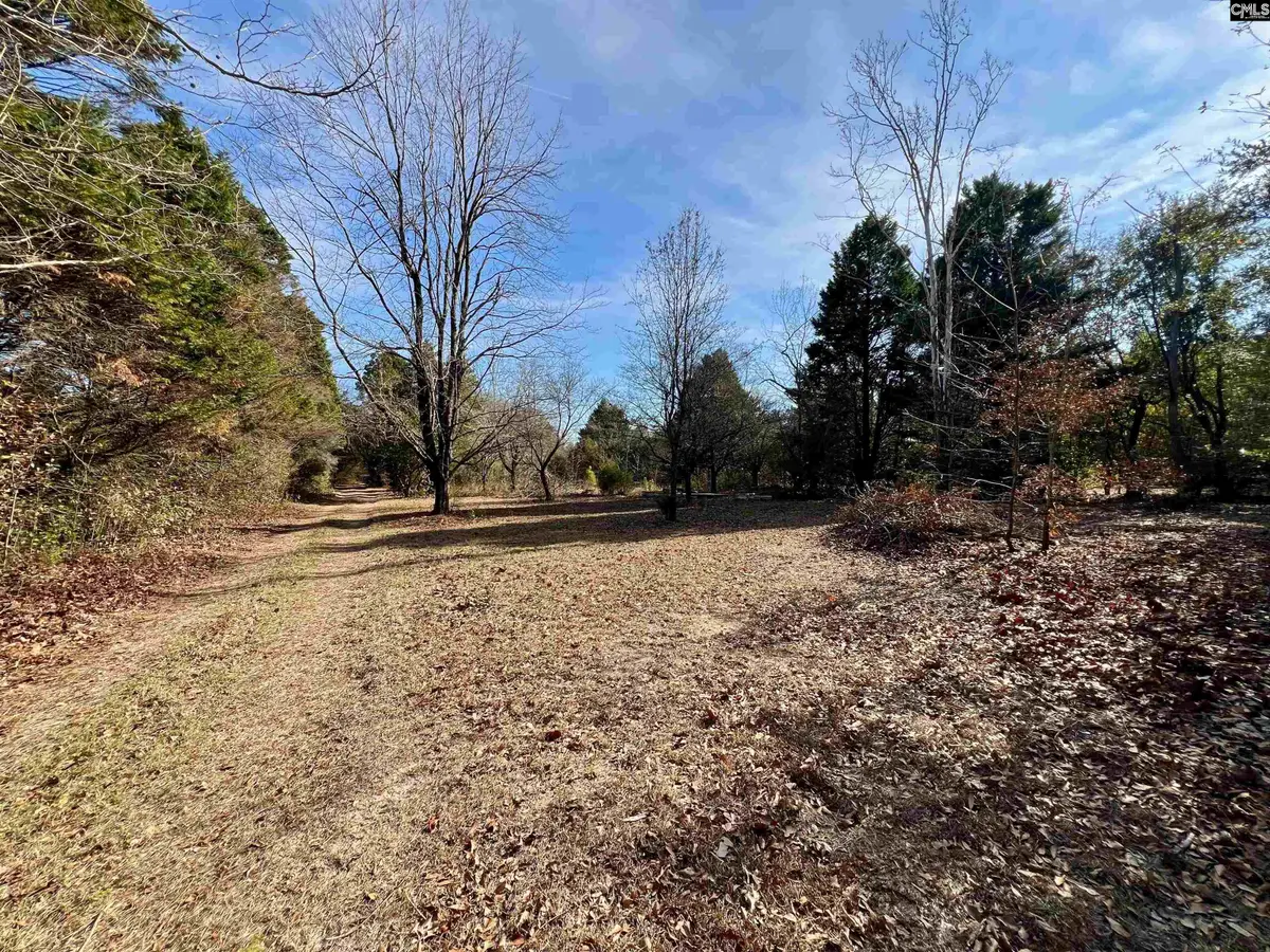 241 Megill Drive, Pelion, SC 29123 - Image #1