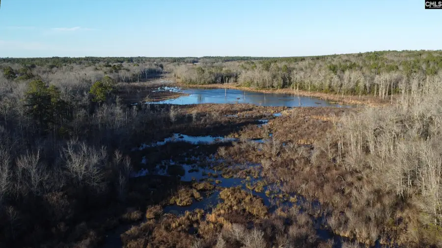 TBD Millers Pond Road, Wagener, SC 29801 - Image #3