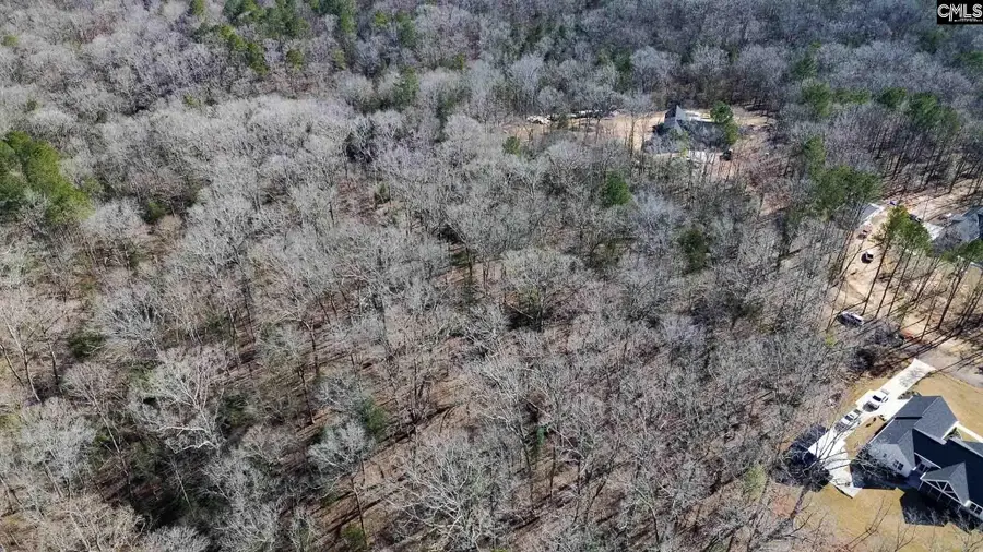 1142 Osheal Road, Irmo, SC 29063 - #3