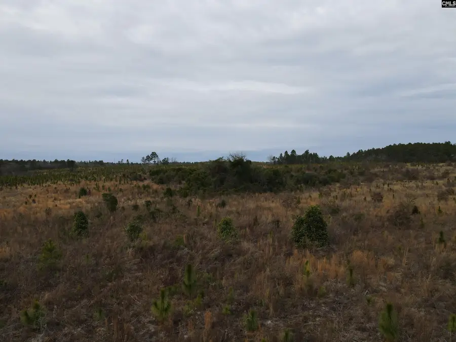 Tract 2 Park Road, Cassatt, SC 29032 - Image #3