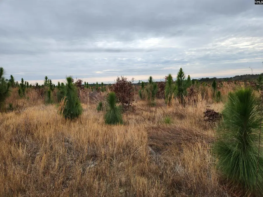 Tract 10 Park Road, Cassatt, SC 29032 - Image #2