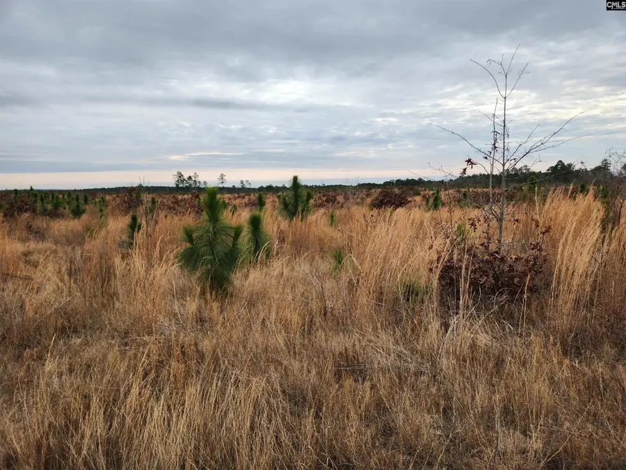 Tract 11 Park Road, Cassatt, SC 29032 - Image #3