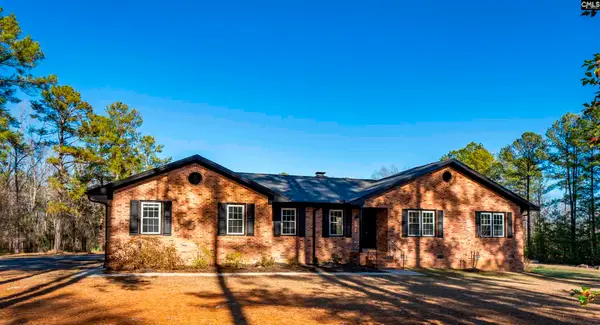 169 Lake Tide Drive, Chapin, SC 29036