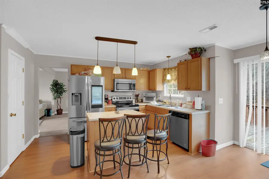 321 Concord Place Road, Irmo, SC 29063 - #3