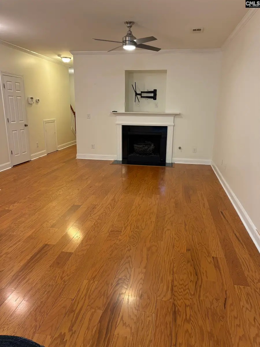 123 Tybo Drive, Lexington, SC 29072 - Image #3