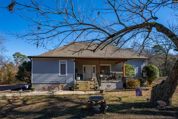 124 Peak Street, Chapin, SC 29036