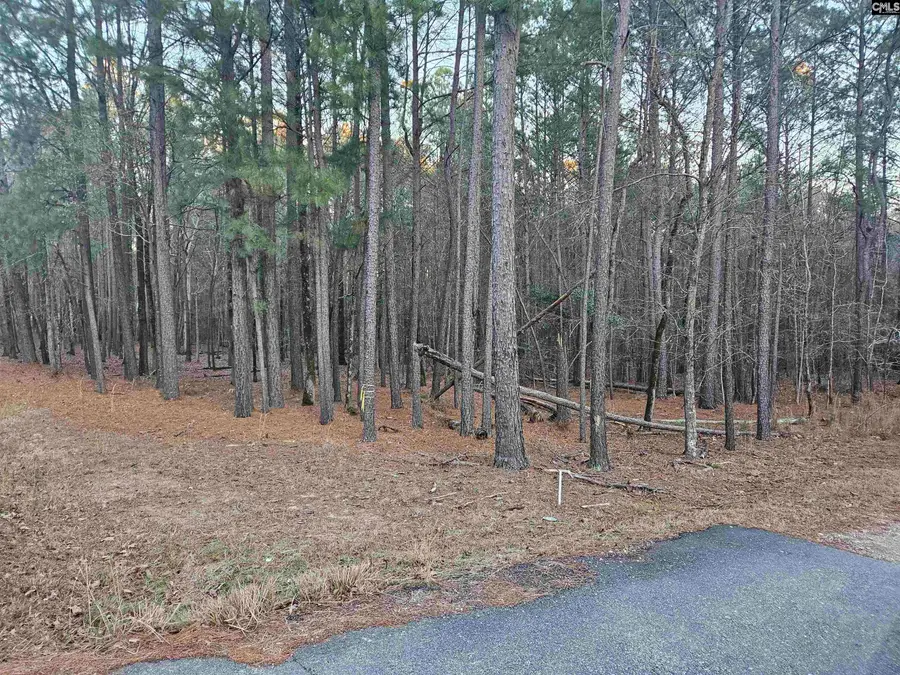 0 Hollands Landing Road, Prosperity, SC 29127 - #2