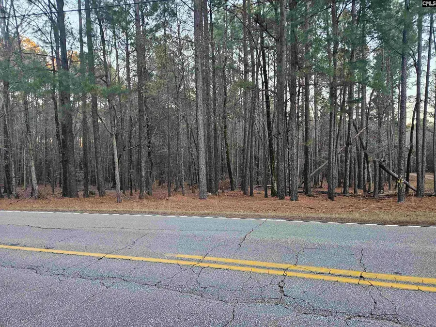 0 Hollands Landing Road, Prosperity, SC 29127 - #3