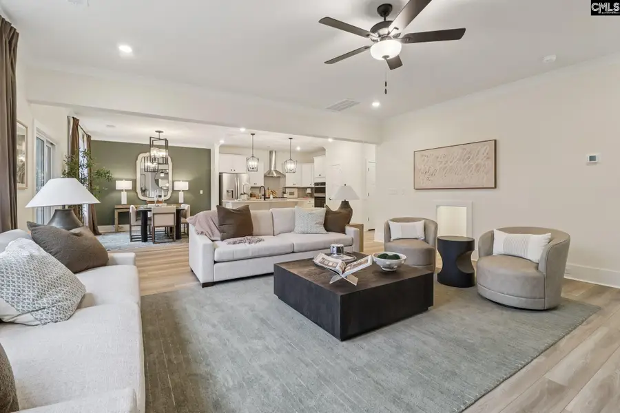 590 Griffon Drive, Chapin, SC 29036 - #3