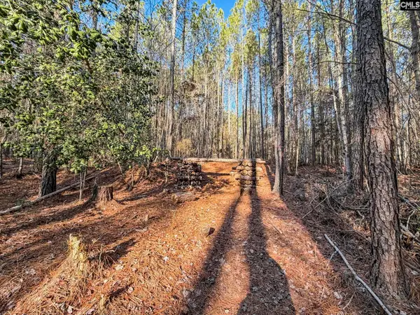 1651 Little Cedar Creek Road, Blythewood, SC 29016