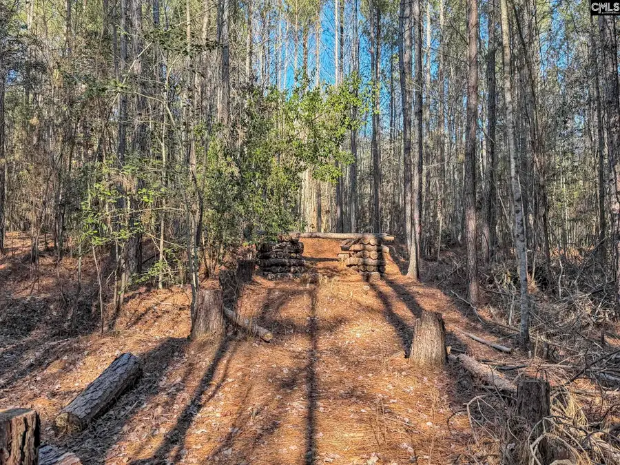 1651 Little Cedar Creek Road, Blythewood, SC 29016 - Image #2