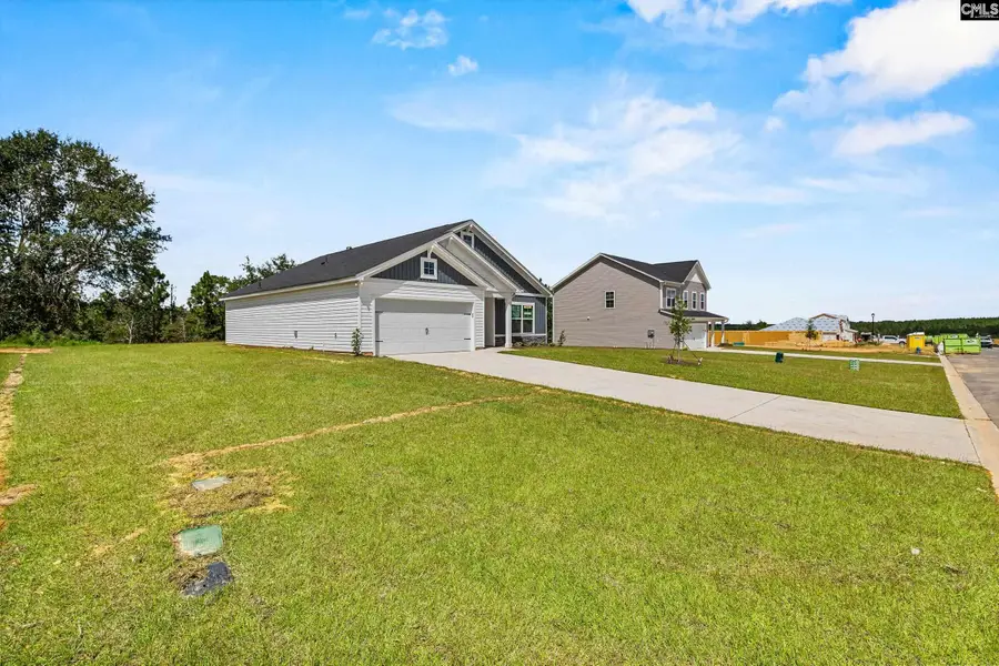 143 Calm Citadel Drive, Pelion, SC 29123 - #3