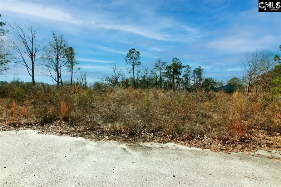 1107 Kelly Lane, Elgin, SC 29045 - Image #2